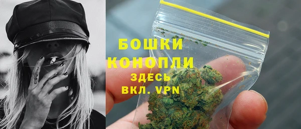 apvp Протвино